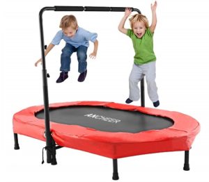 ANCHEER Adjustable Handle for Two Kids